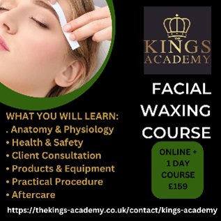 facial waxing course